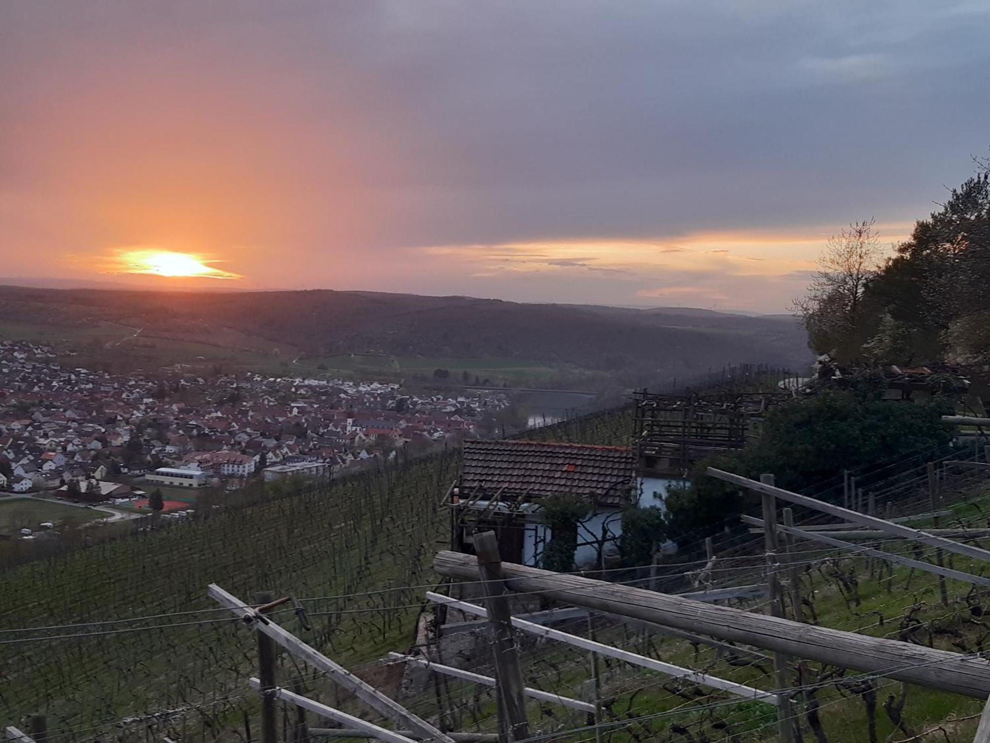 Ferienhaus An Der Hoeh' Zellingen Exteriér fotografie